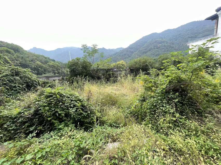 紫荆庄园三期 3室2厅2卫