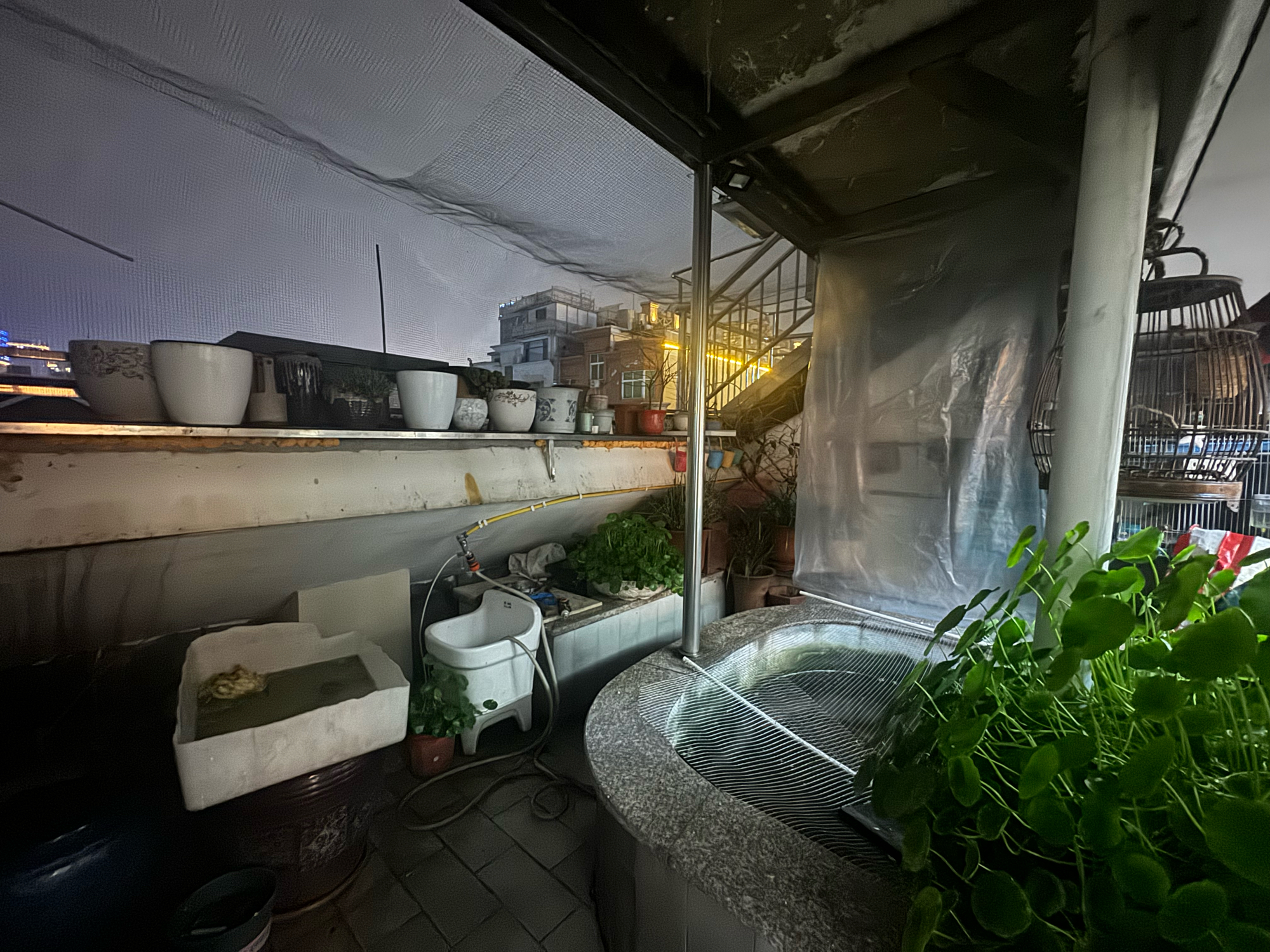 金桥人家 4室2厅3卫